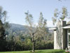 Another view from the backyard