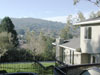 View from the backyard