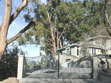 Looking up towards the house