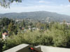 View from the Front Stairs