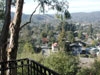 View off Master Bedroom Deck
